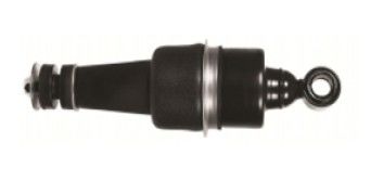 Canbin Dan Kursi Air Springs, DAF