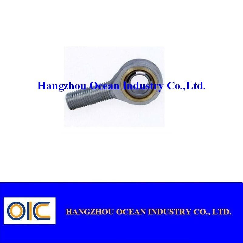 Estremità del SA. .ES 2RS Rod, estremità SA6E, SA8E, SA10E, SA12E, SA15ES, SA17ES, SA20ES della Cina Rod