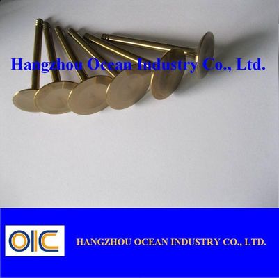 Auto Valve Use For Ford , Buick , Volvo , Audi , Peugeot , Renault , Skoda Toyota , Nissan , Lexus